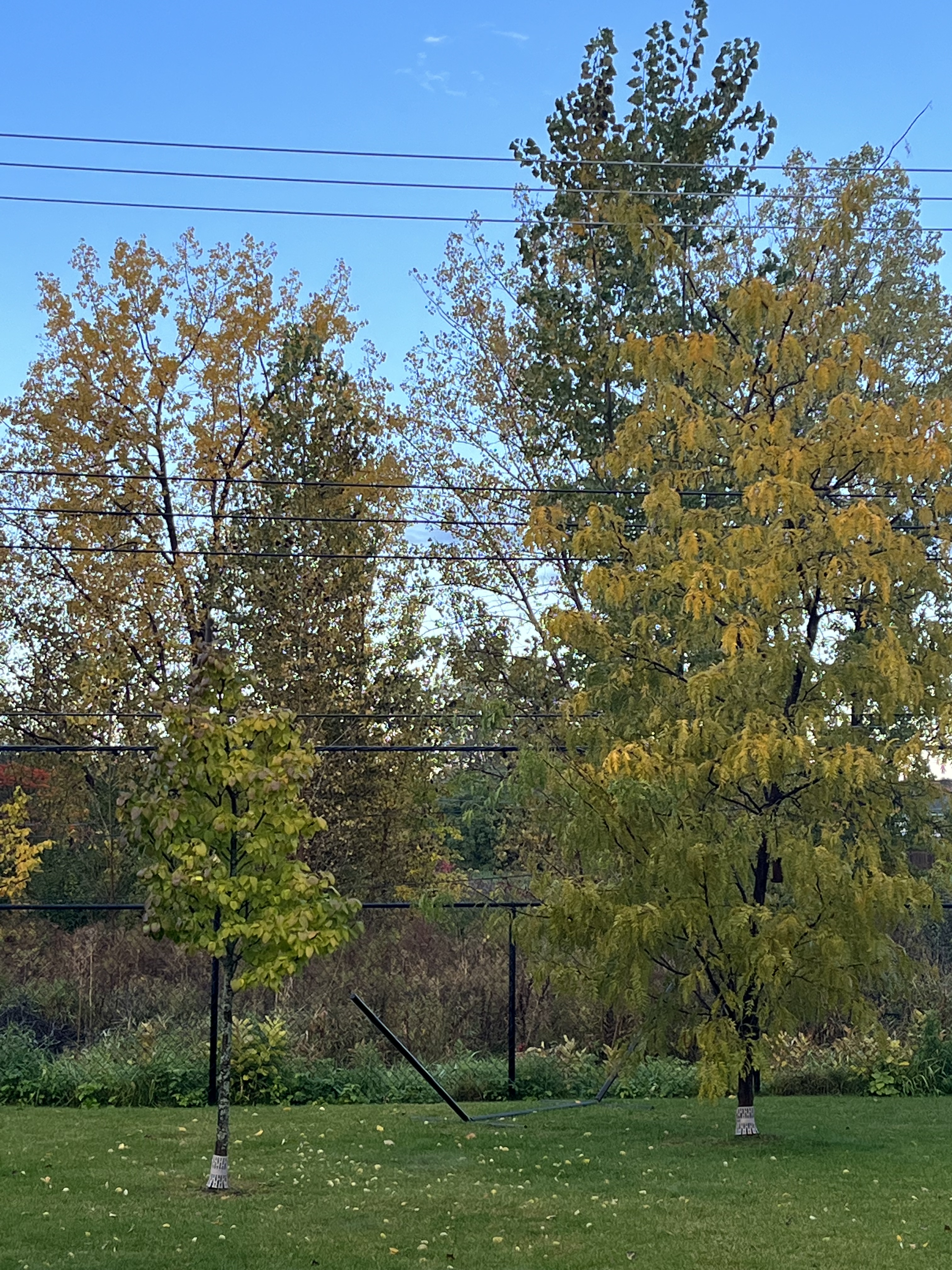 AA9CF285-9C3A-4E37-9384-DCE845BAD2D3