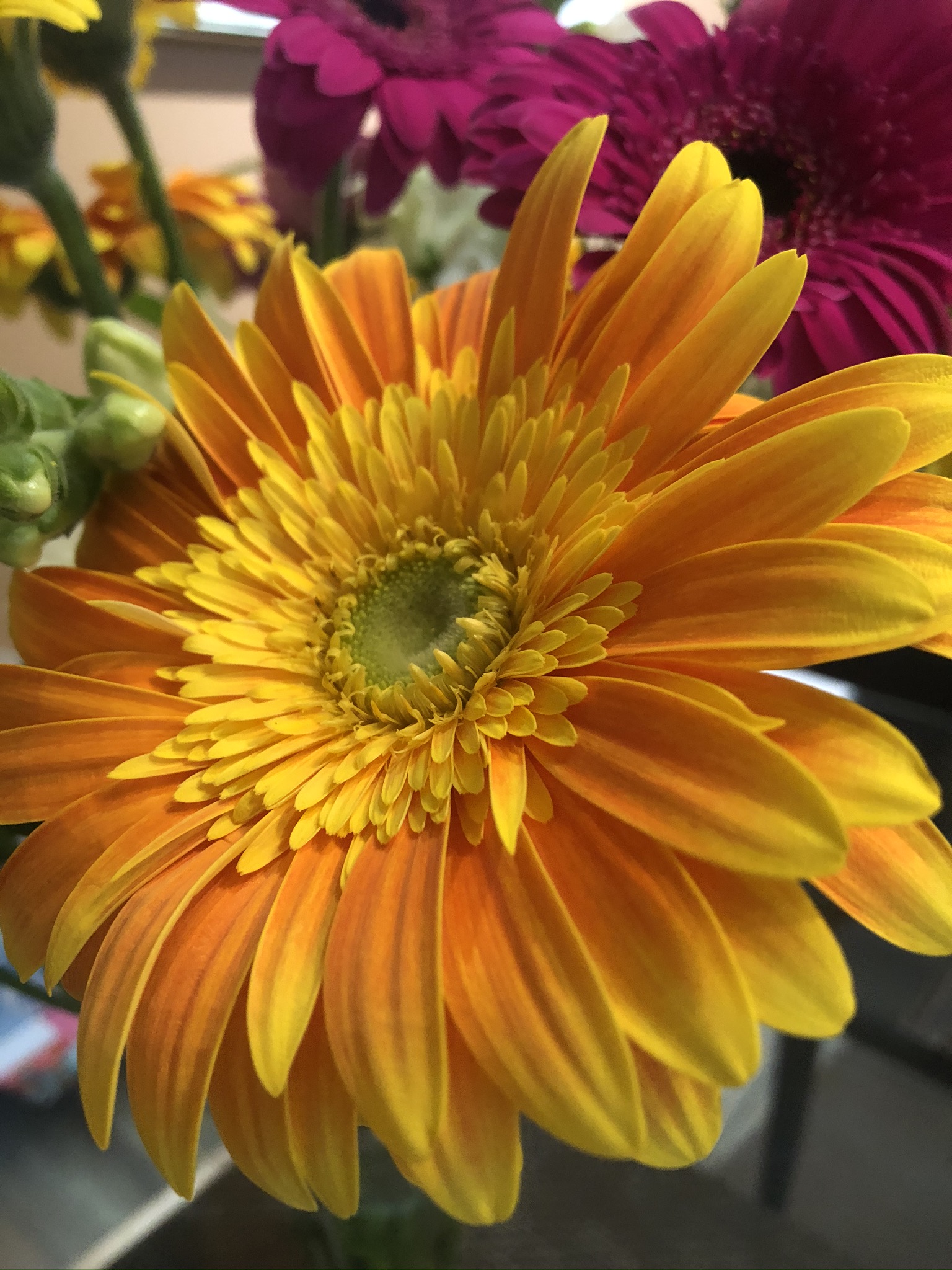 AB2CB8AF-275A-48D8-8CDB-3666D8905CE5