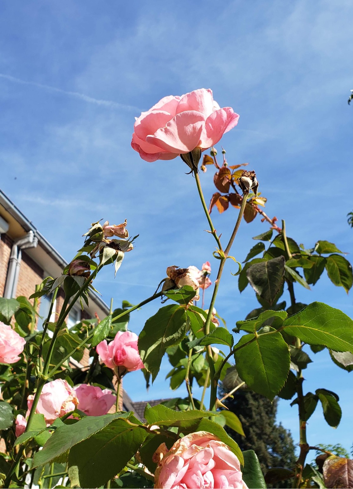 B2B0C67E-A29F-4352-AFD4-0E581181A899