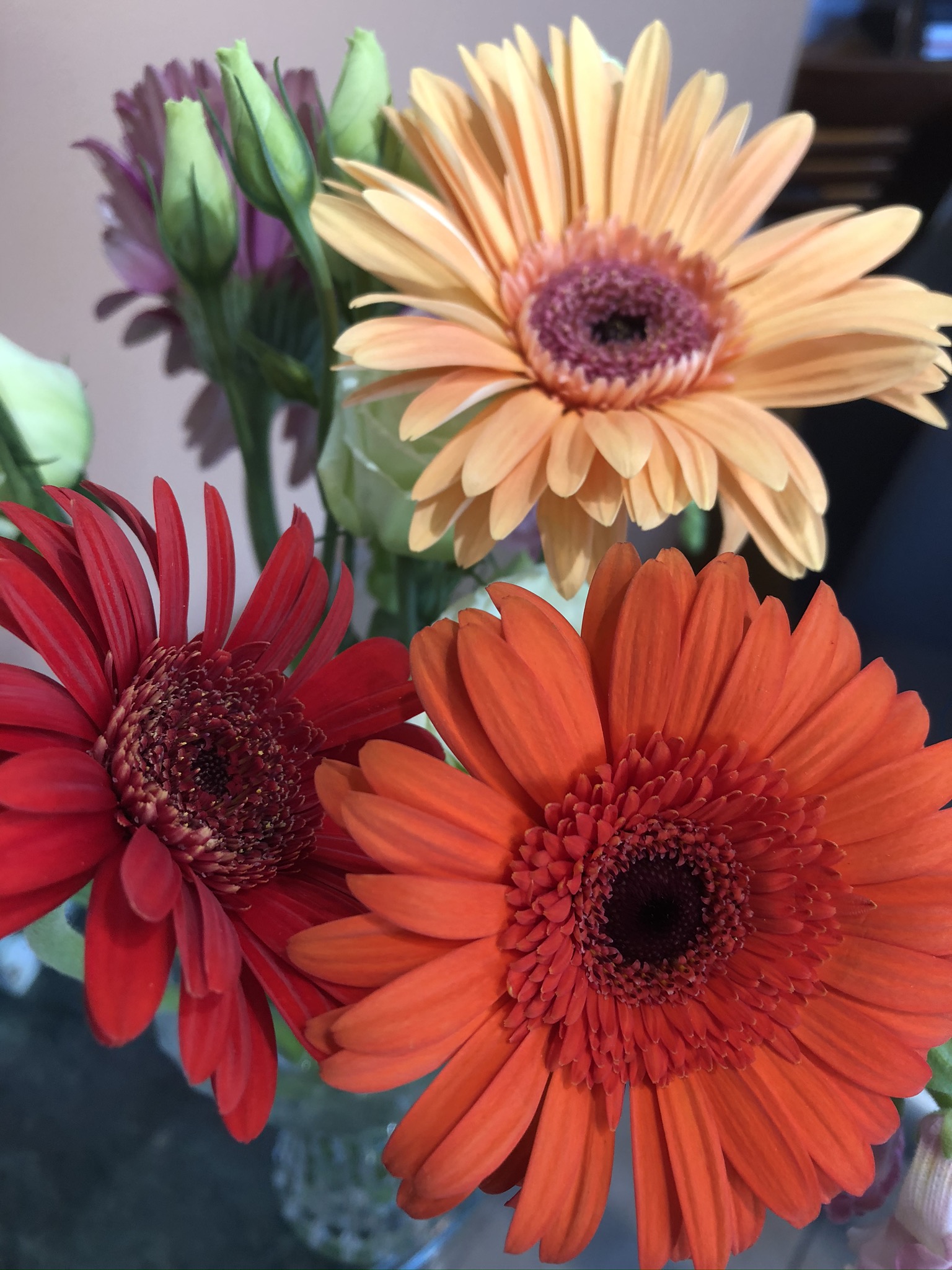 C3C7B847-8204-492C-93B0-9F80EEC29028