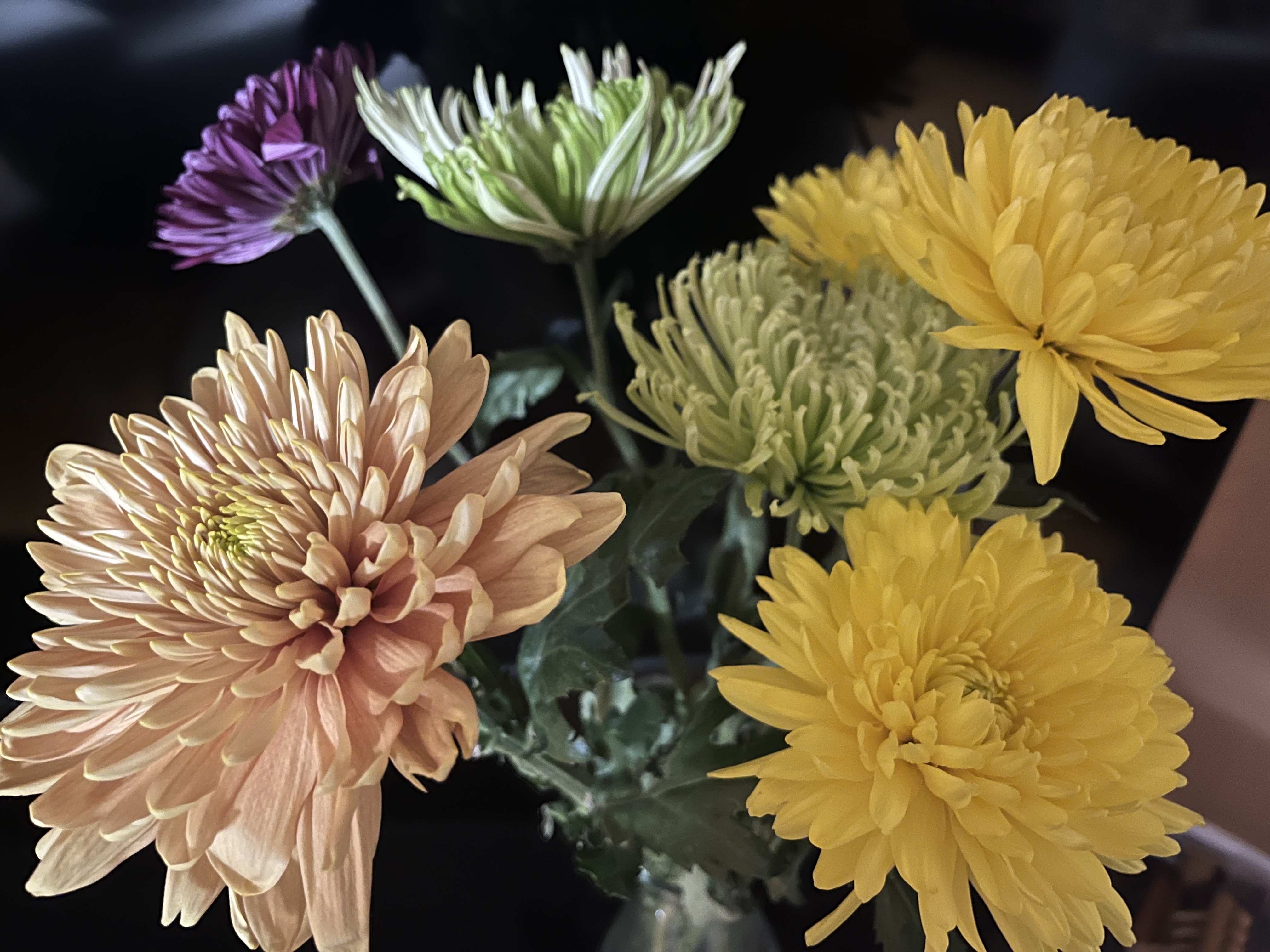 C3D22E2B-FD1E-4594-A10B-8EEC0F3AA6CD