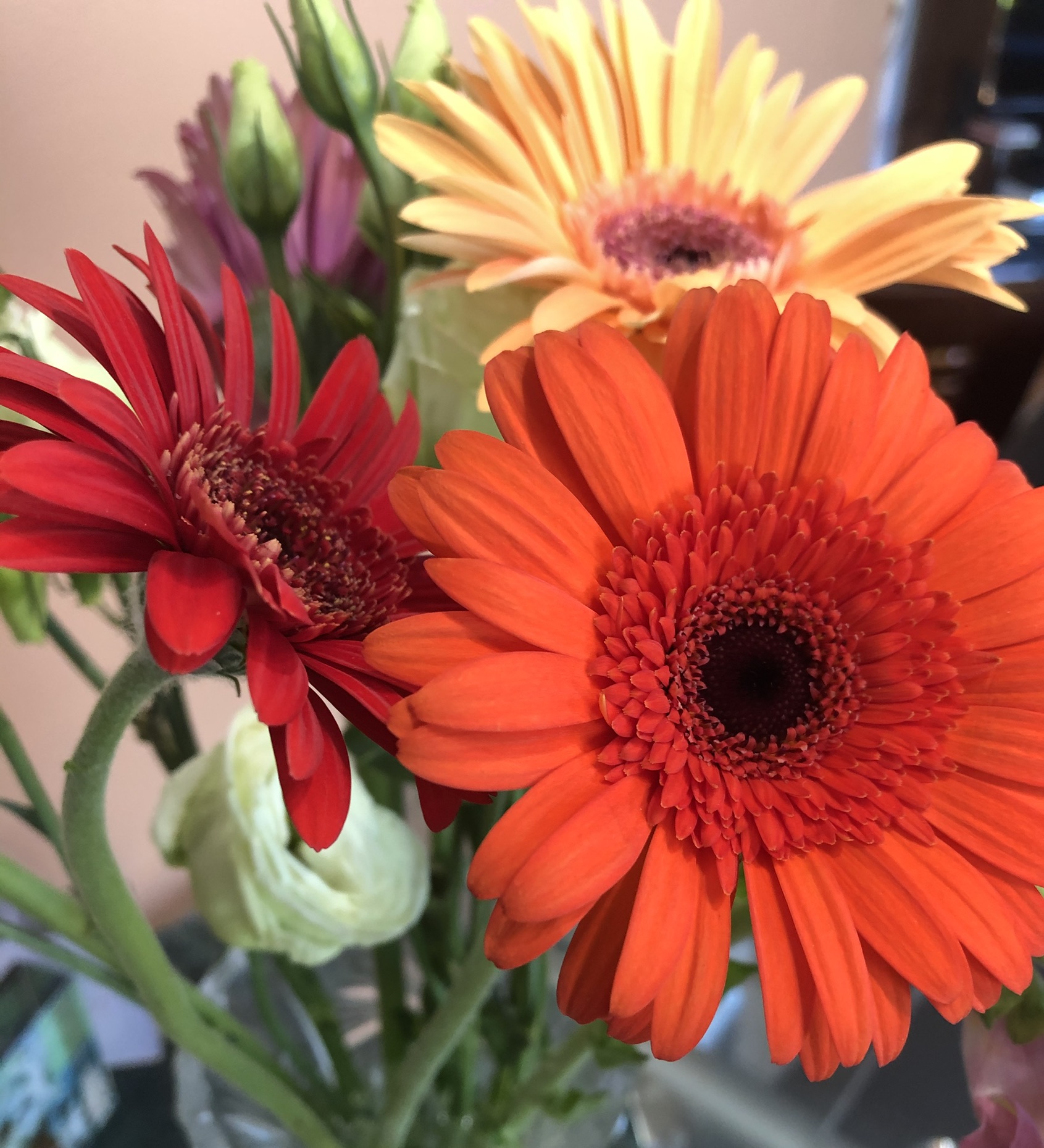 D320C048-15B0-4010-81E9-F92CB38A95BC