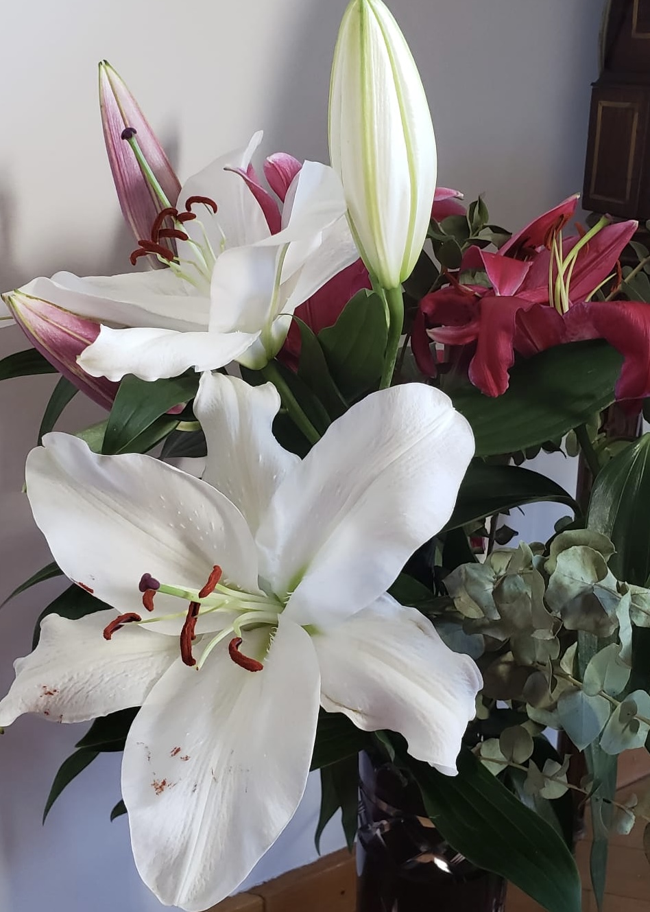 E56F3692-CF78-43D7-B9FA-A14F88135C97