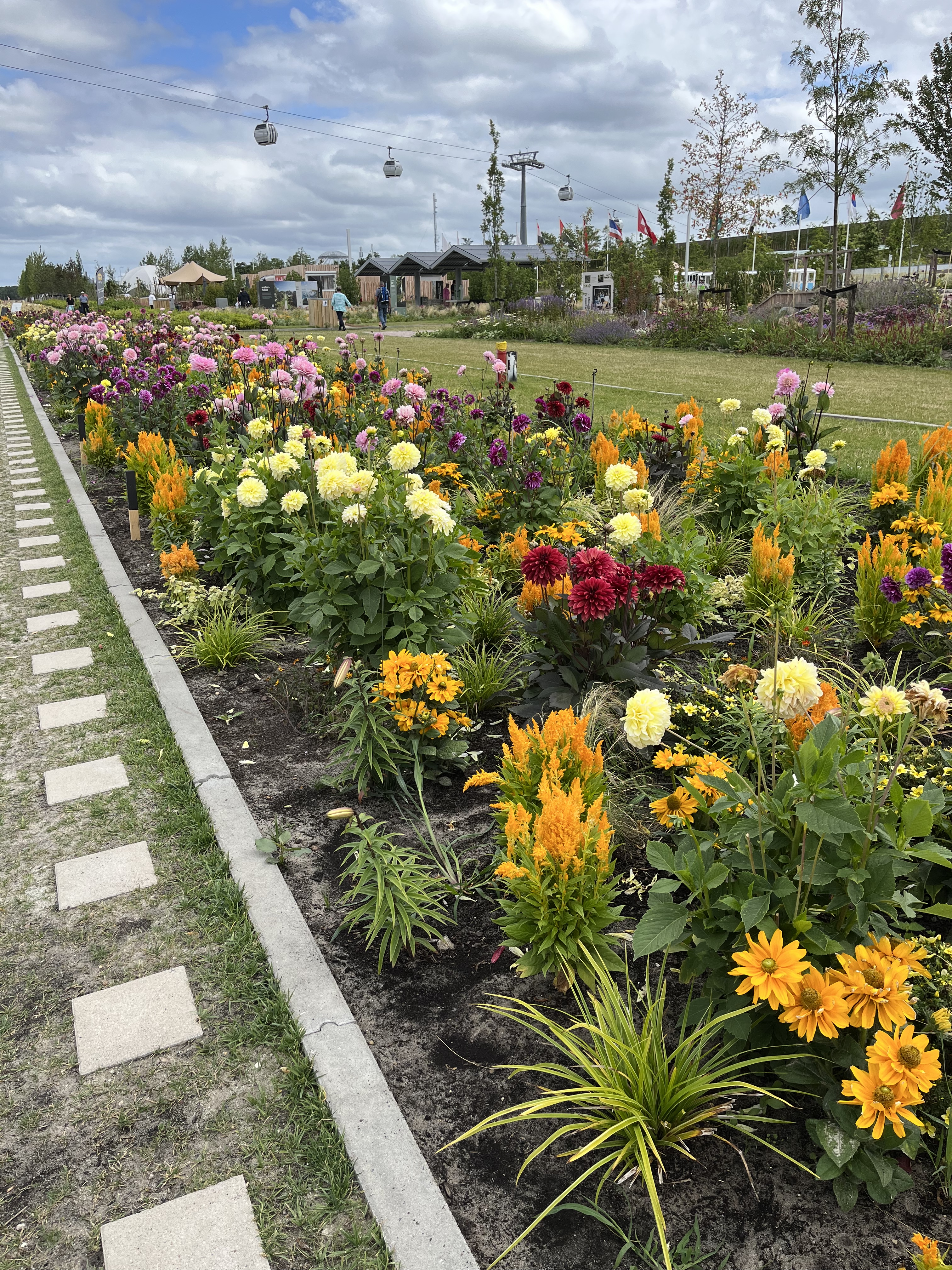 ED453A73-0E1C-4944-B770-8623B9A12B83