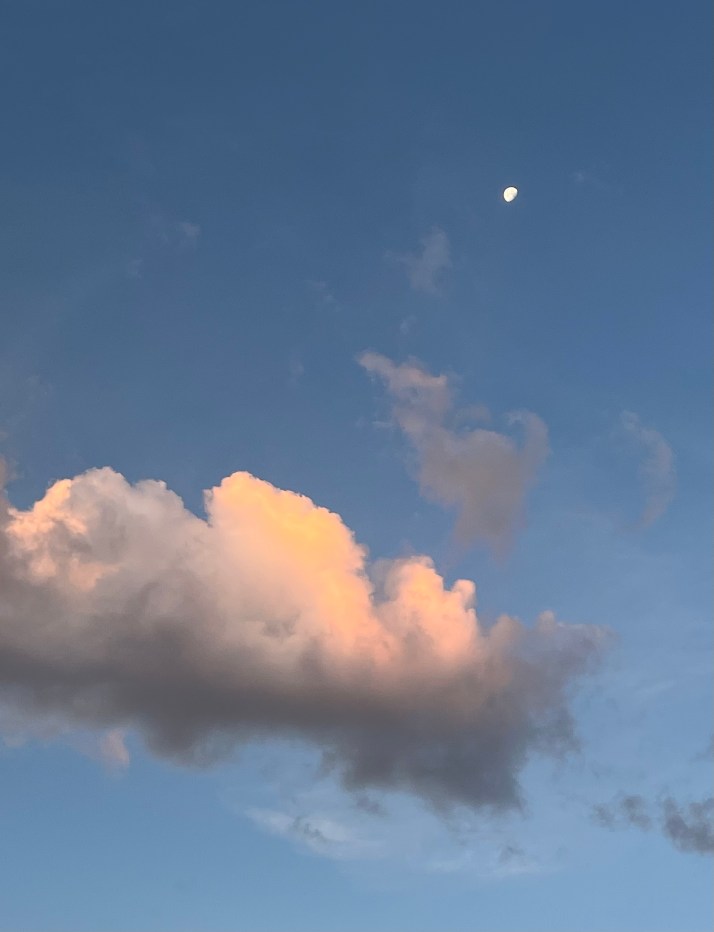 5F2A44CA-8C21-44FB-BCBF-3D3E3AA5DE4A