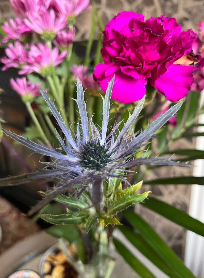 ED68F10F-4F09-4D52-B011-A465C51E6572