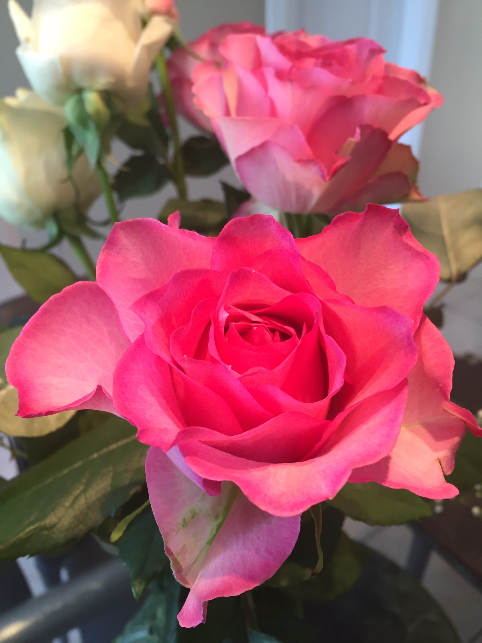 A1E6859C-5214-4A7B-81FE-032101D1B507