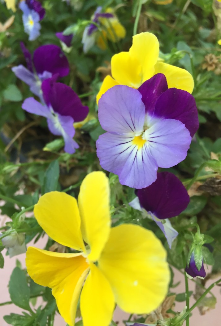 CEADF351-FB50-4B05-9D4C-9E56F15C3B5E