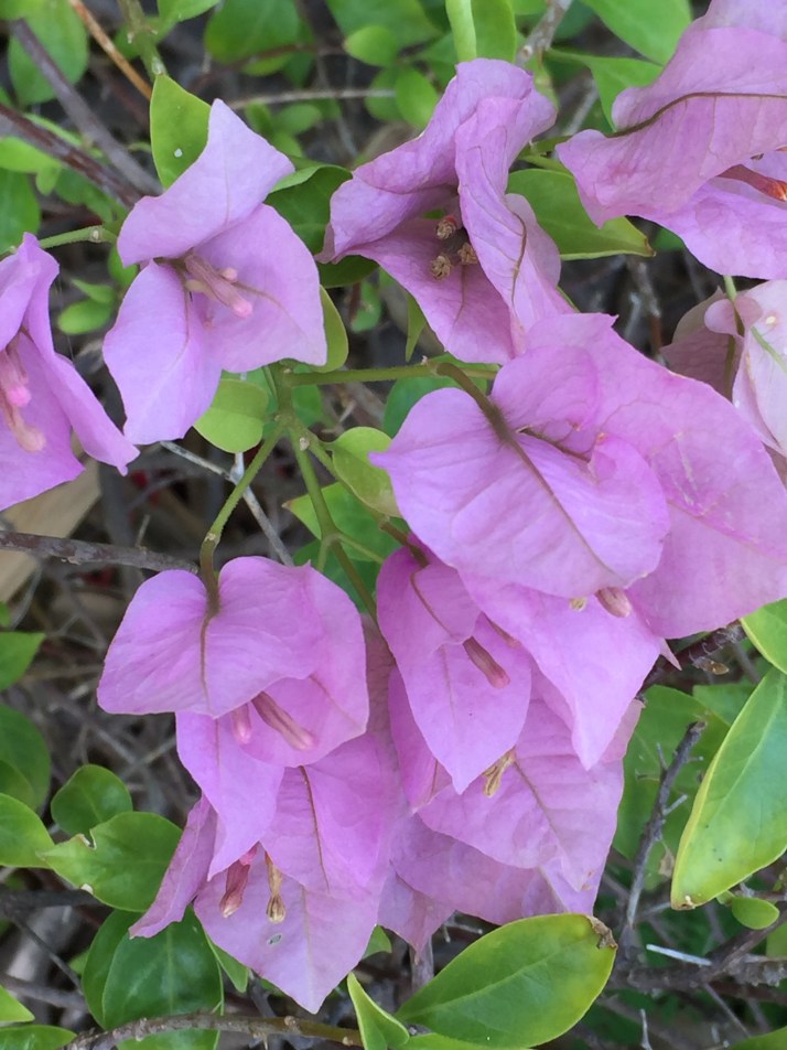 E9058CCD-F022-4A1A-81CE-54CADAF3B390