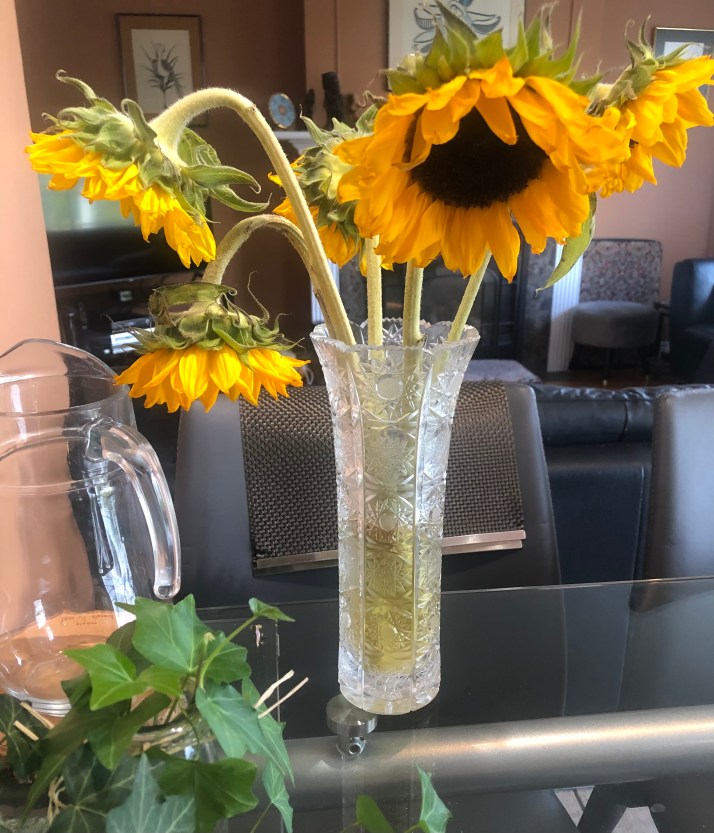 BD3B1A6A-DCD1-4831-890B-D3AE412D2A7E