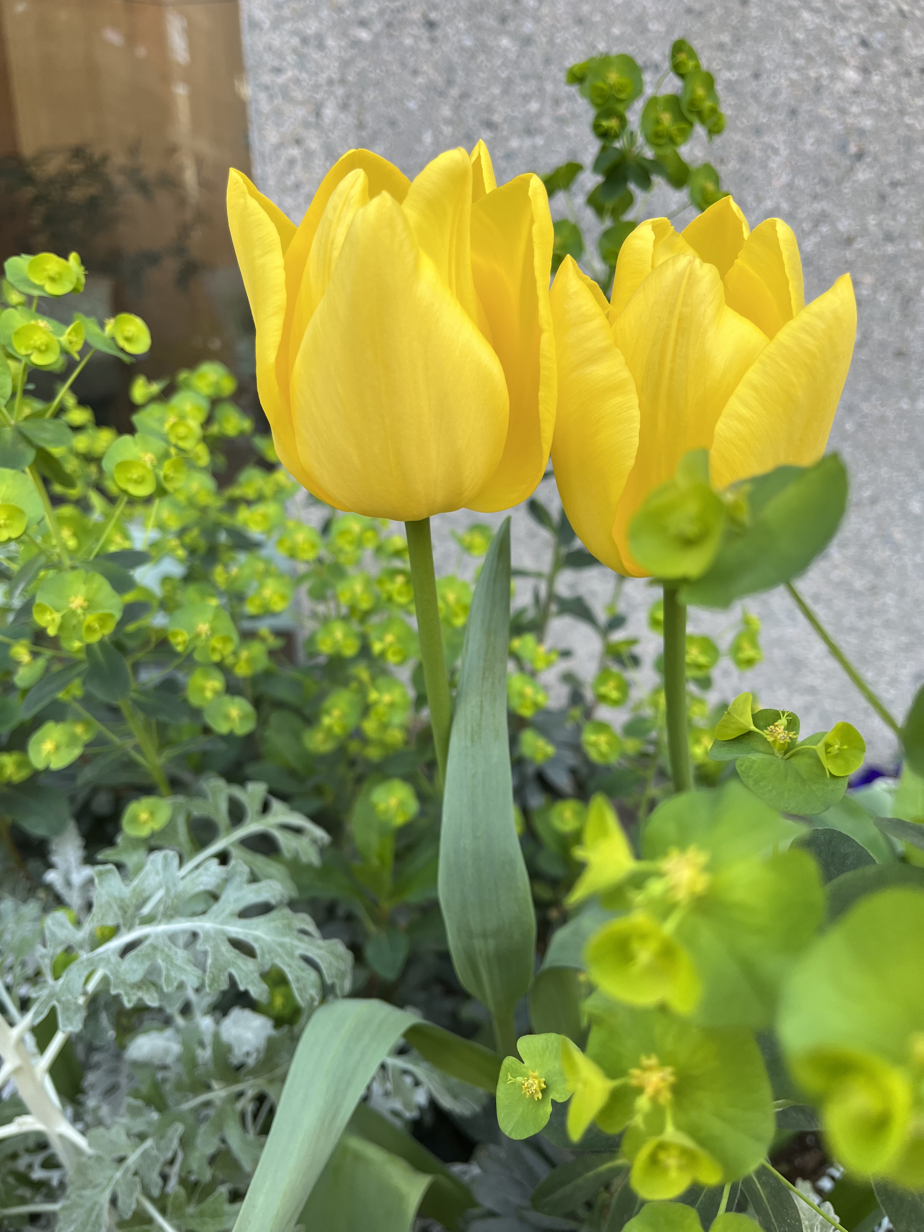 D7DCE750-9576-46B9-8985-B925BF1FCDA3