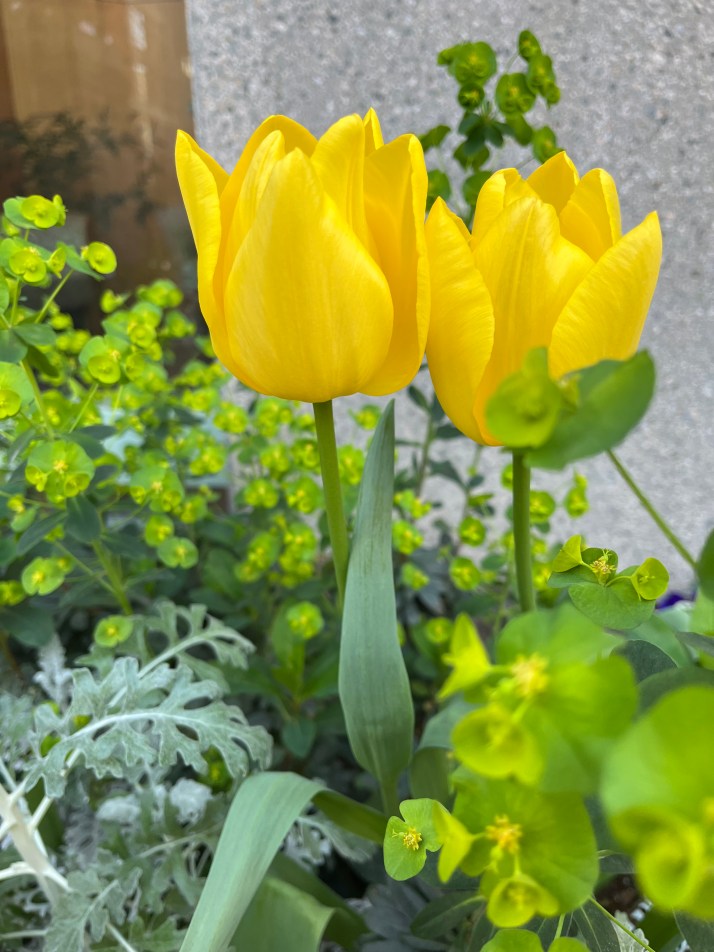 D7DCE750-9576-46B9-8985-B925BF1FCDA3